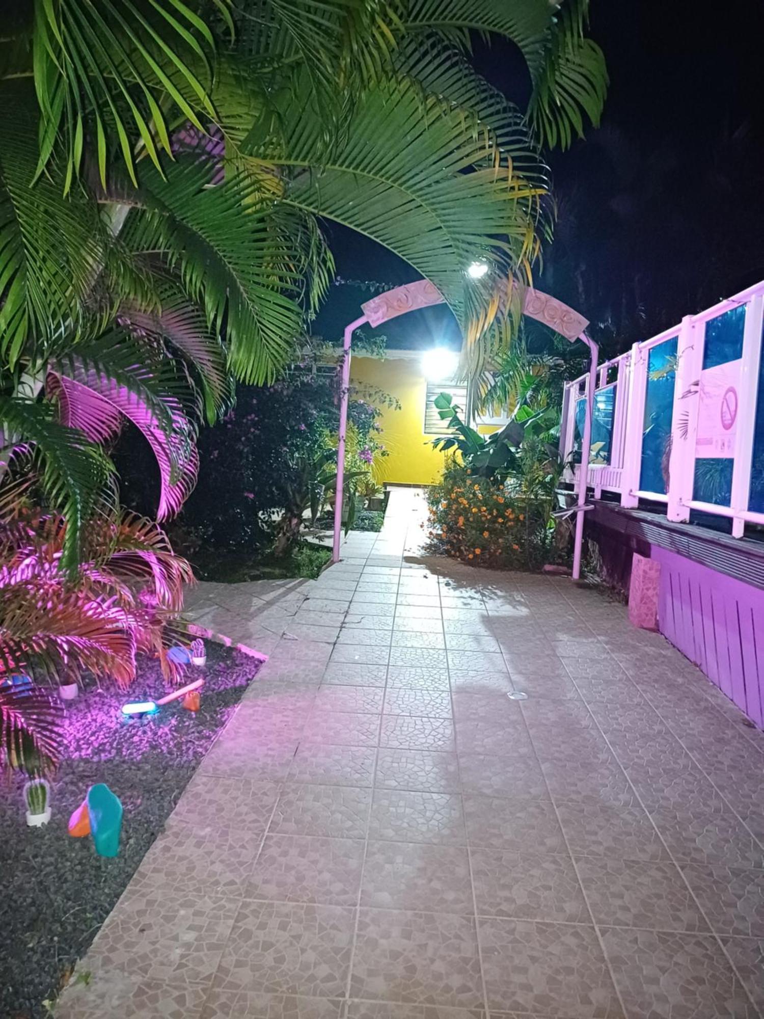 Au Sable D'Or - Spa - Wifi- Piscine Deshaies Exterior foto